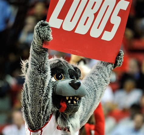 The Lobo mascot and its connection to school traditions and rituals